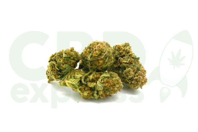 Cannabis Light: il volto legale di una pianta divina!